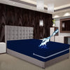 2 Side Waterproof Zipper Mattress Cover - Blue